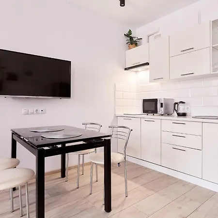 стильні із казковим краєвидом та світлом Apartament Kijów